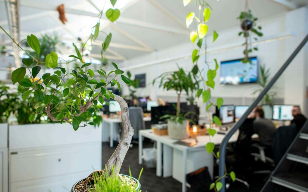 Planting for Success: How Office Plants Can Help Your Business Thrive